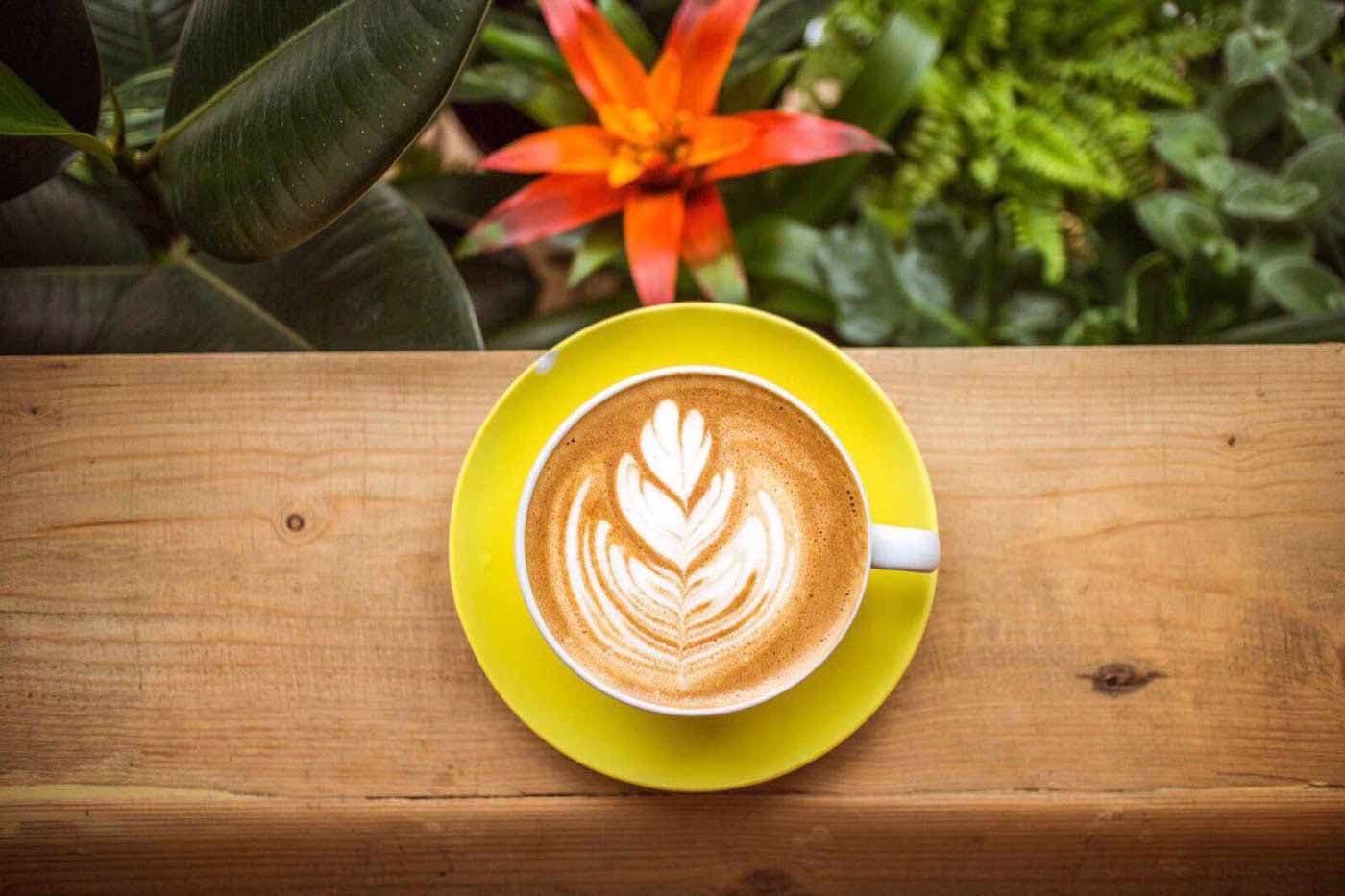 Flat white on a bench at FoodStory